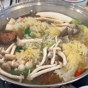 이가네버섯세상