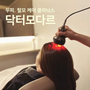 닥터모다르 파주점