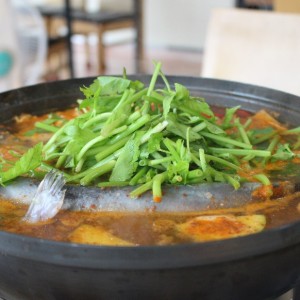 송지메기매운탕