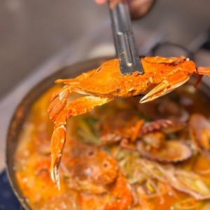 하야미 당진