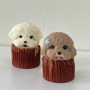 머슬독