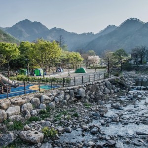 단양 남천 캠핑장