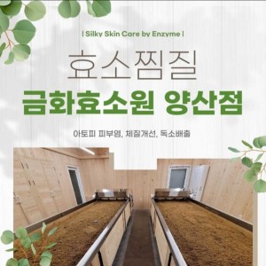 금화효소원 양산점