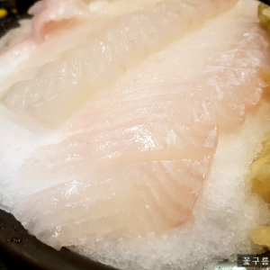 오징어데이