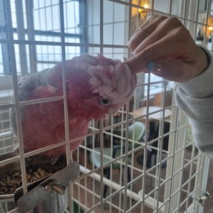 테이블에이