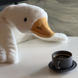 Nice goose