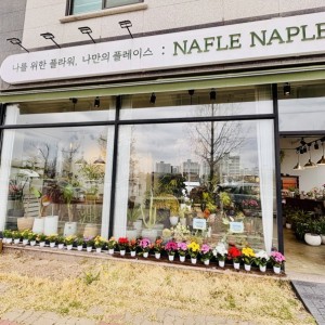 나플나플