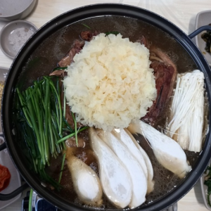 오리줄까 닭줄까