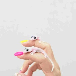 샤인크레