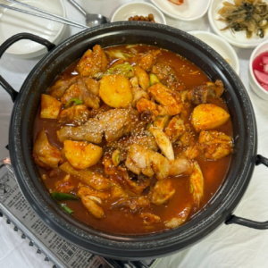 코닭세상