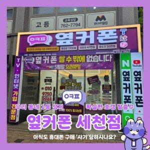 휴대폰성지 옆커폰 세천점