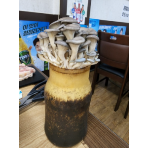 된장박이진성집
