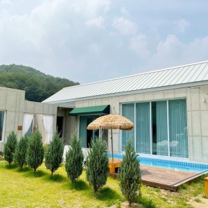 온화한가