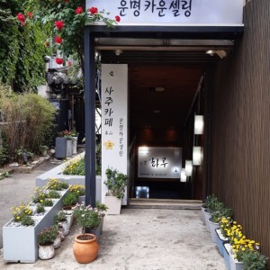 하루