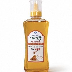 으뜸벌꿀