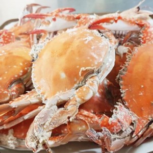 [충남 태안] 고향식당
