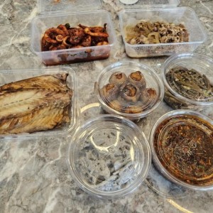 [충북 충주] 여미찬