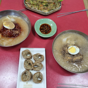 [충북 진천] 오박사냉면