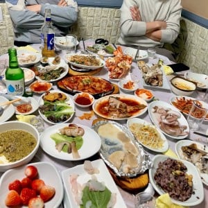 [경남 사천] 비엔나아지트실비