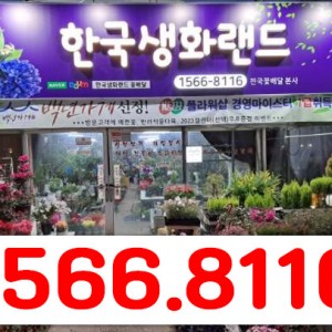 [광주 서구] 꽃피는농원한국생화랜드