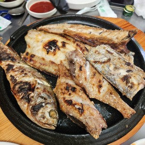 [강원 속초] 낭만포차