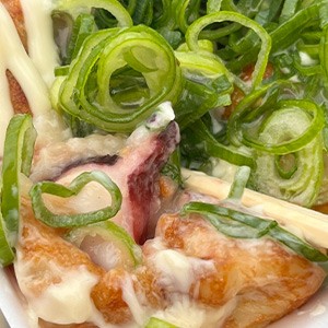 [대전 유성] 호시타코야끼 죽동점