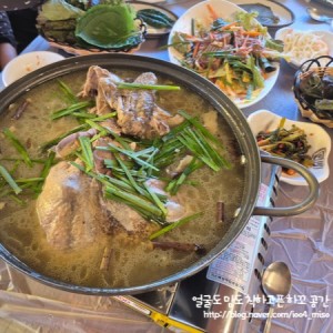 [부산 금정] 선동은행나무집