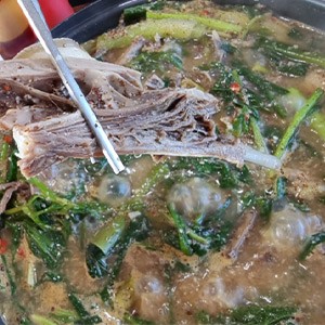 [제주 서귀포] 도원흑염소요리 본점
