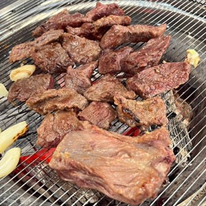 [경기 용인] 느티나무