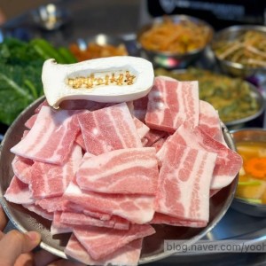 [전남 여수] 맨발의청춘