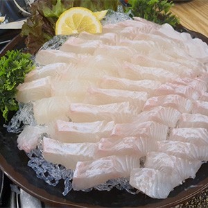 [경기 안산] 광발이횟집