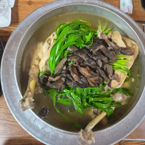 [경기 파주] 밤나무집