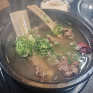 [제주 제주] 홍수영