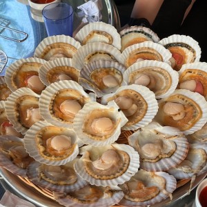 [울산 중구] 동구조개구이