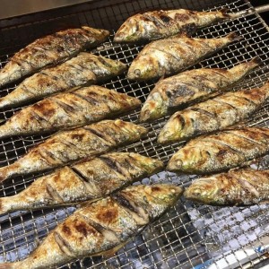 [경기 수원] 광명수산 수원역점