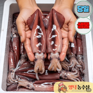 영덕농수산