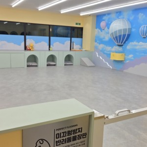 [부산 해운대] 몽슈아퍼피