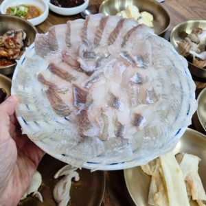[대구 서구] 삼포회식당