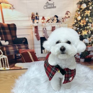 멍스테이 애견유치원.호텔