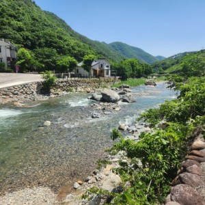오늘리버독채펜션