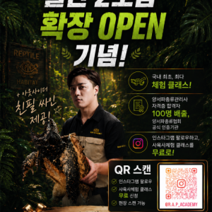 랩아카데미