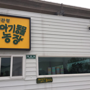 대관령아기동물농장