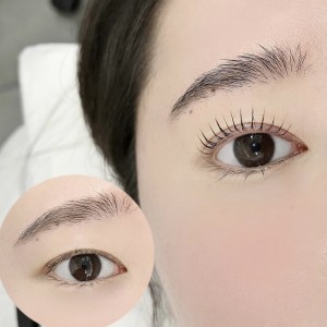 허니비 눈썹&속눈썹