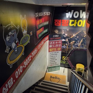 와우점핑다이어트